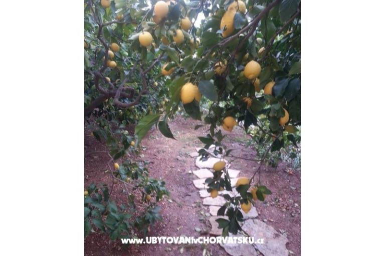 Appartements Mila – foto 13