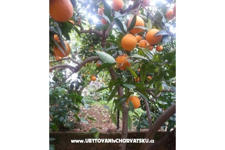 Appartements Mila – foto 14