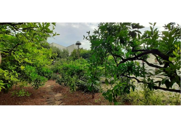 Appartements Mila – foto 3