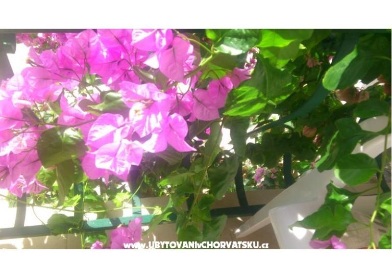 Appartements Antonela – foto 2