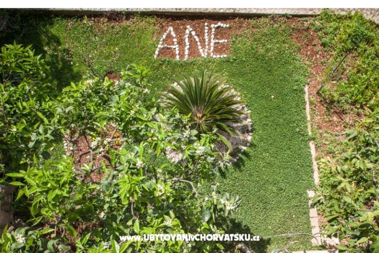 Ferienwohnungen Ane – foto 8