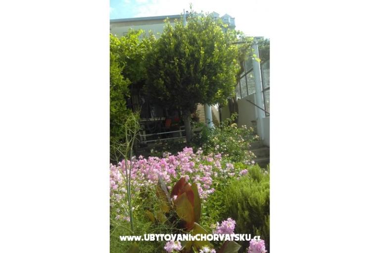 Apartment Adria – foto 10