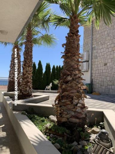 Appartements Botuš – foto 3