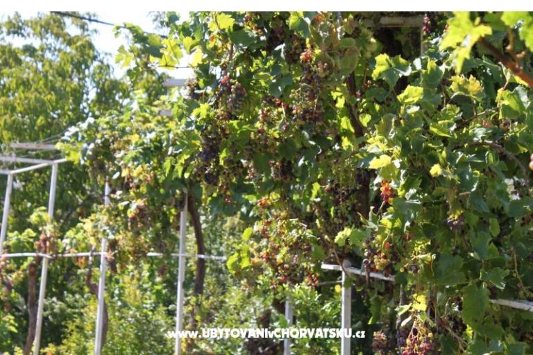 Appartements Jasna – foto 17