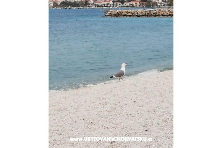 Appartements Plave oči  – foto 6