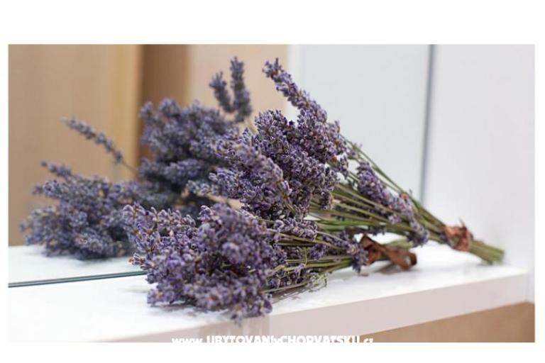 Ferienwohnungen King – foto 10