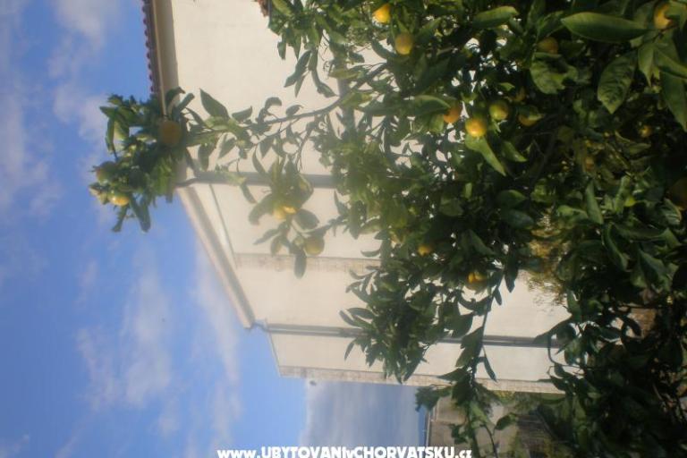 Ferienwohnungen Mandarić  – foto 15