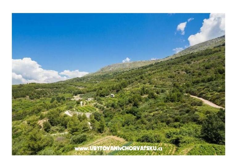 Carso Olea – foto 4