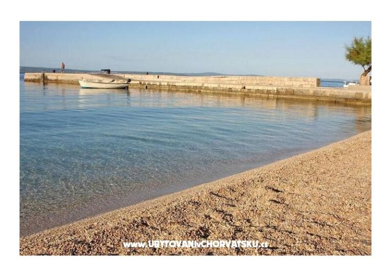 Carso Olea – foto 5