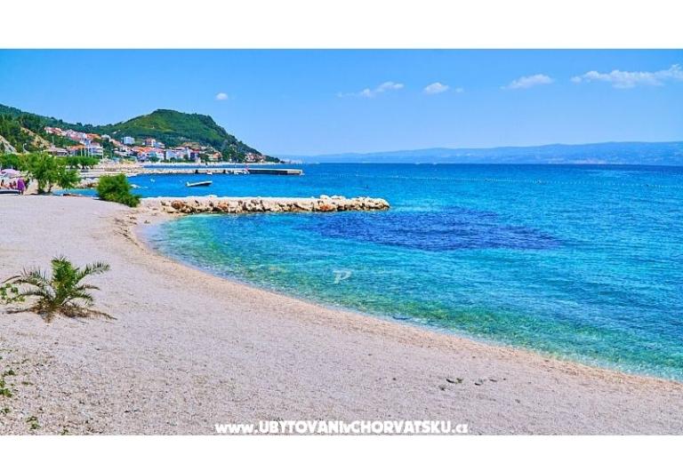 Carso Olea – foto 9