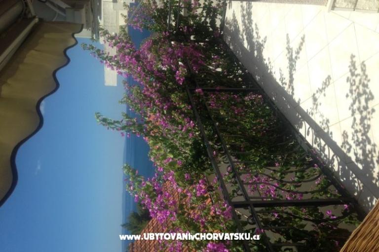 Apartment Gusic – foto 12