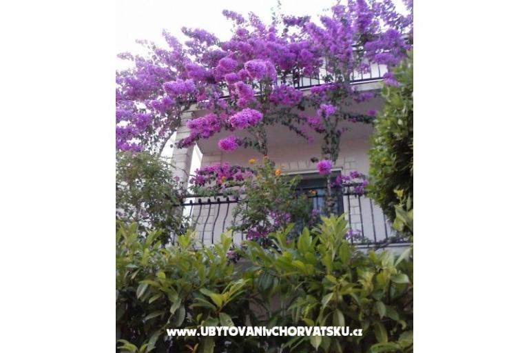 Apartment Gusic – foto 8