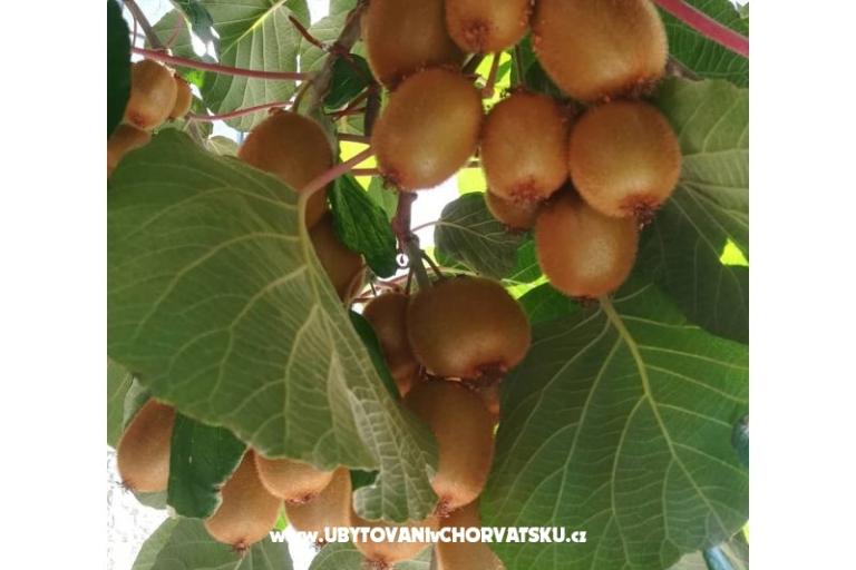 Appartements Lucija – foto 14