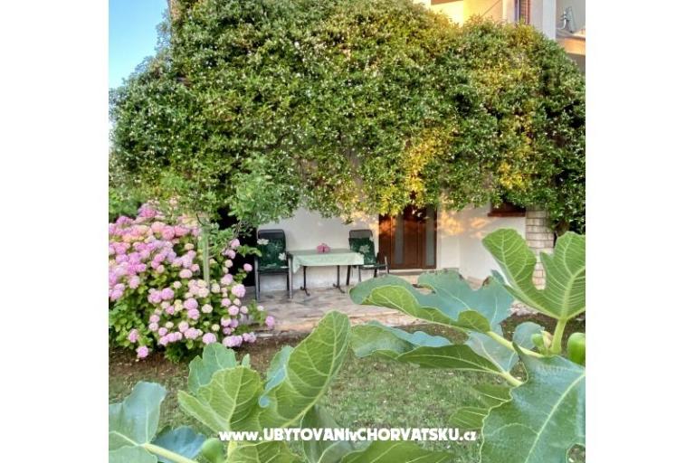 Ferienwohnungen Aleks-Ana – foto 9