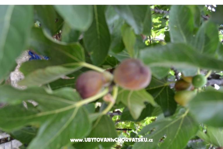 Ferienwohnungen Lera – foto 7