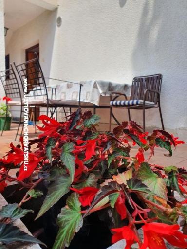 Appartements Kero – foto 12