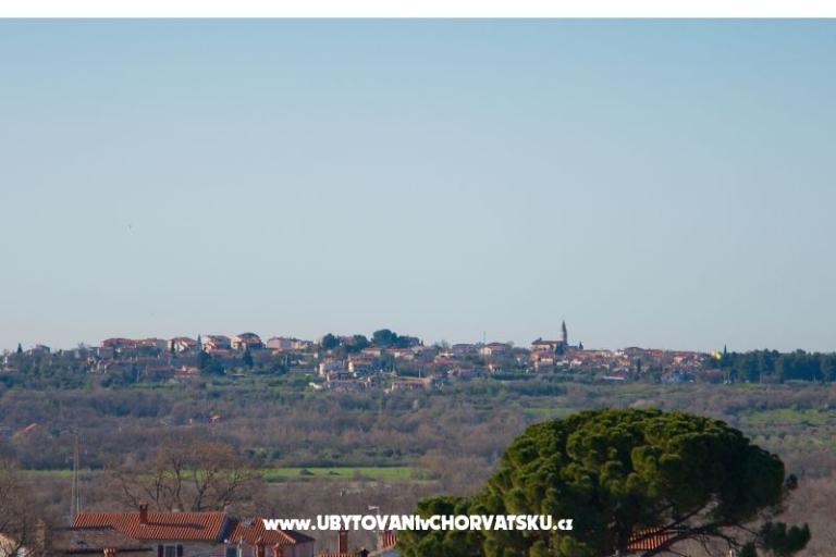 Rosini Premium – foto 9