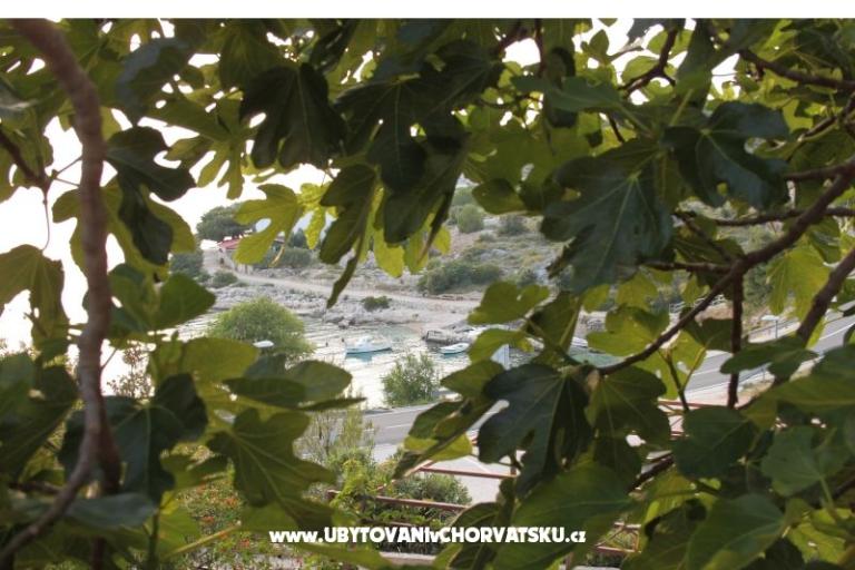 Apartment Brnistra – foto 16