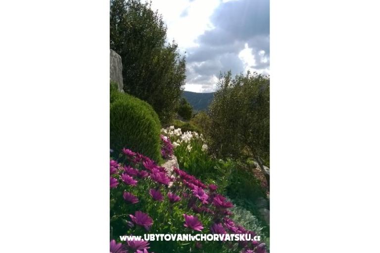 Appartements   Luka – foto 5