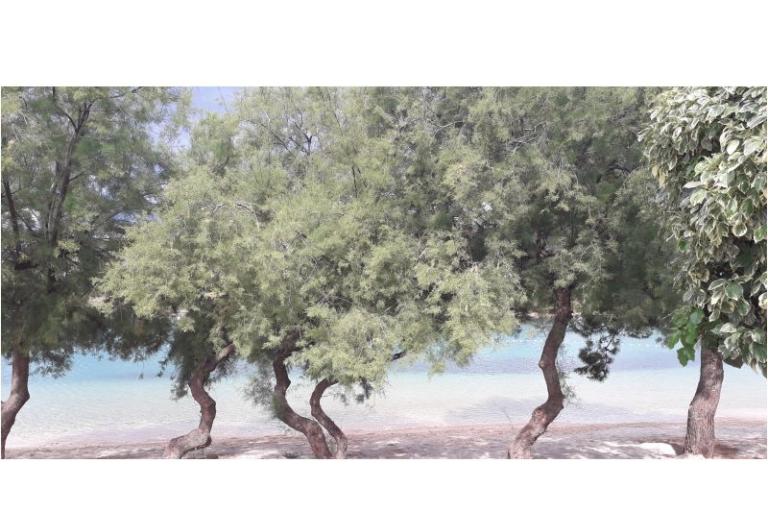 Appartements Natalija i Ante – foto 10