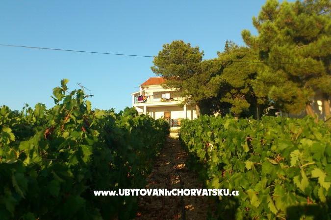 Appartements vila Diana – foto 8