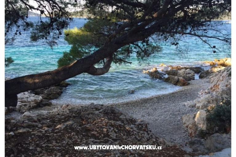 Appartements Zorka Primošten – foto 14