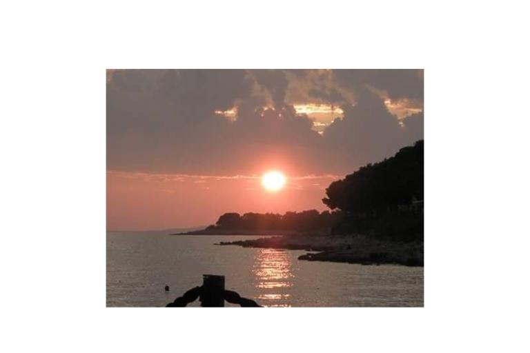 Appartements Zvone - Primošten – foto 11