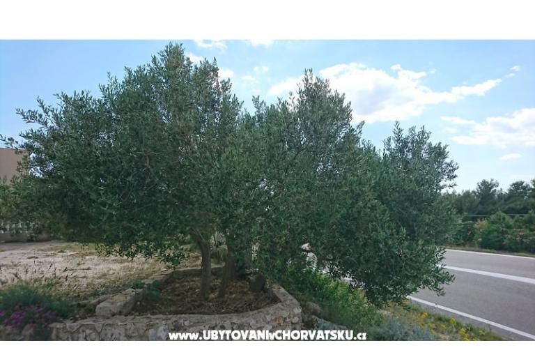 Ferienwohnungen Kocka  – foto 10