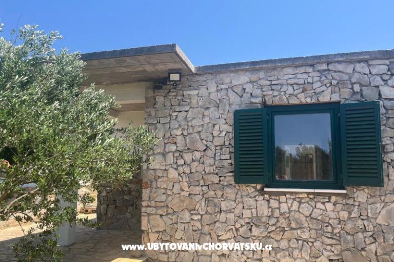 Olive grove – foto 2