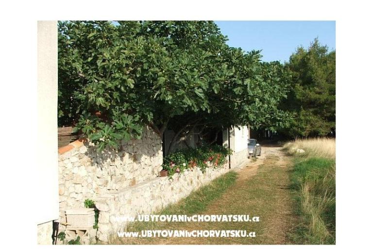 Anna Maria apartman – foto 2