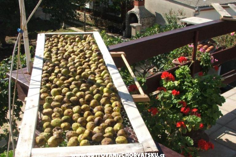 Anna Maria apartman – foto 5