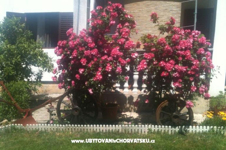 Apartment Luka – foto 15