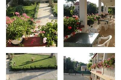 Appartements Ankica – foto 5