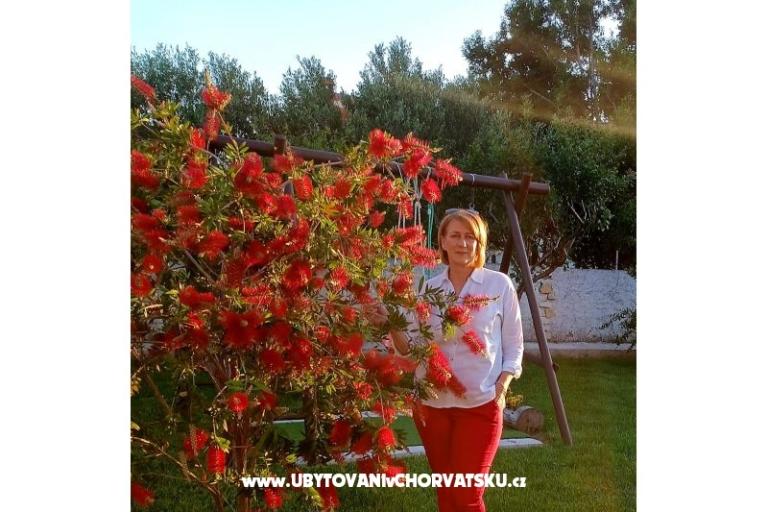 Appartements Lantana – foto 16