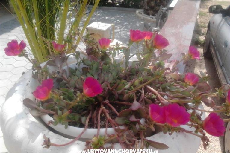 Appartements Tiffany – foto 8