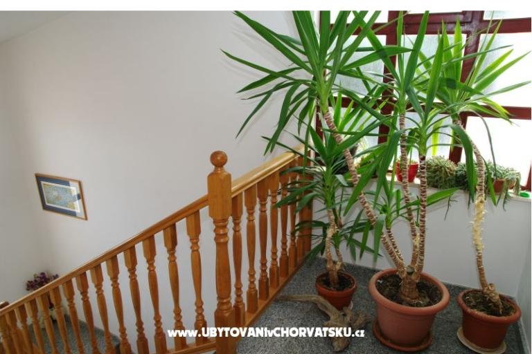 Appartements Mario – foto 9