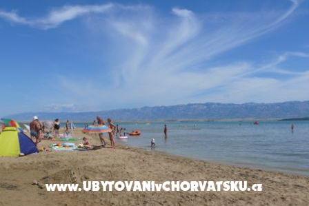 Ferienwohnungen M M – foto 2