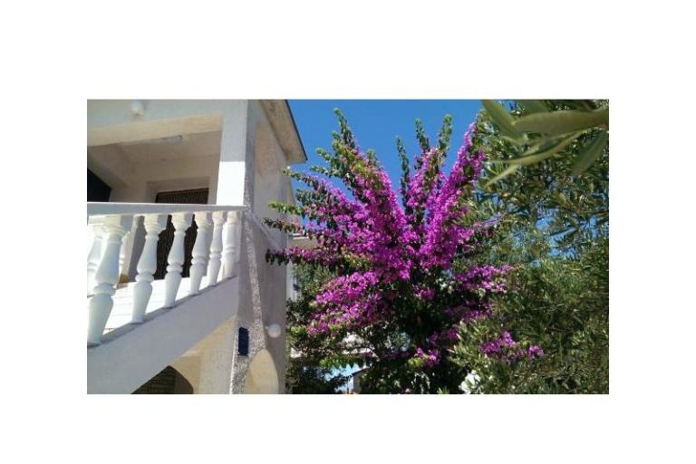 Ferienwohnungen Šime – foto 14