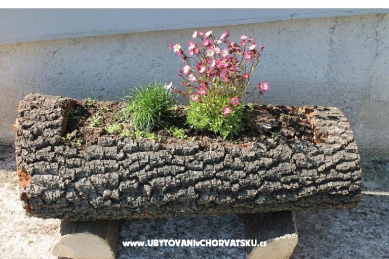 Affordable apartment FUMA – foto 11