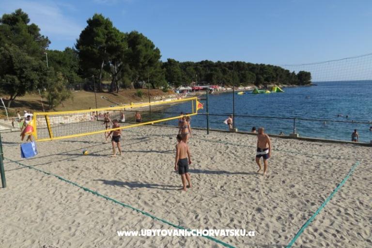 Apartment Stoja – foto 12