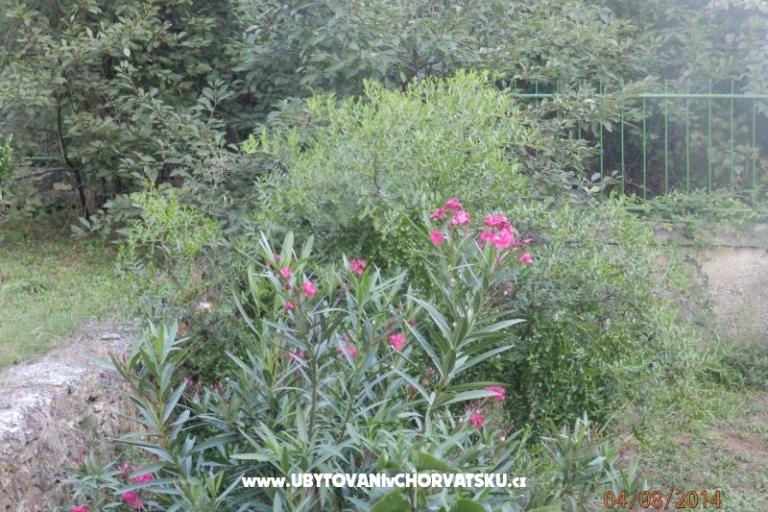 Apartment Valdebek – foto 15