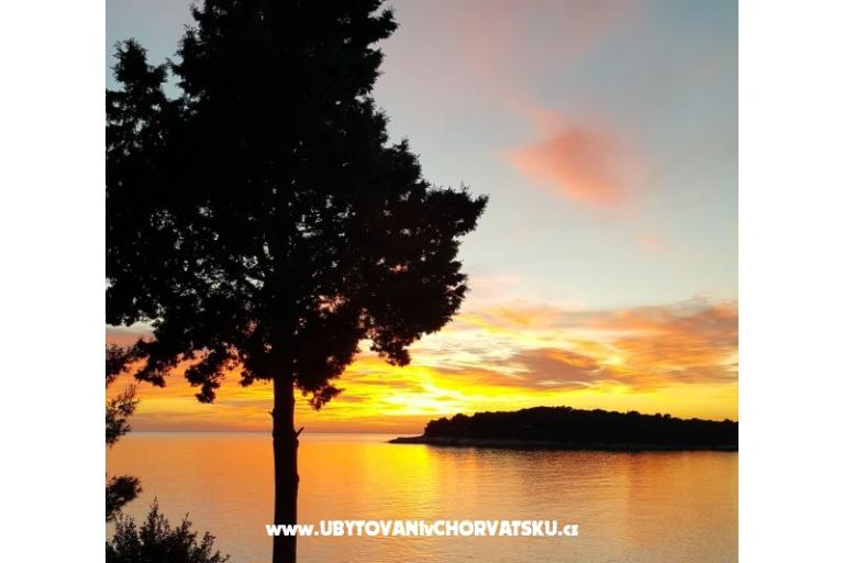 Apartment Val BLUE – foto 9