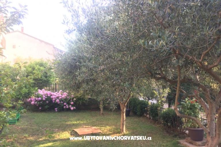 Ferienwohnungen Tea – foto 12