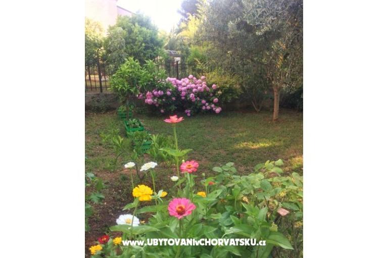 Ferienwohnungen Tea – foto 13