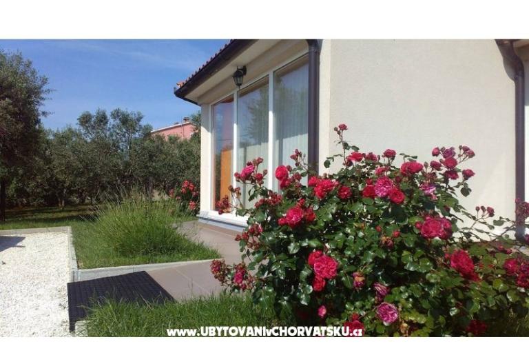 Ferienhaus Brcina – foto 7