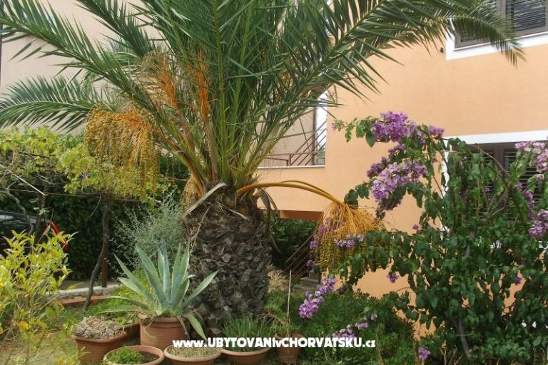 Privat Haus – foto 11