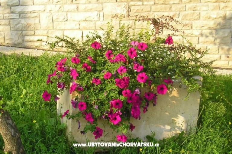 Villa Lorena – foto 15