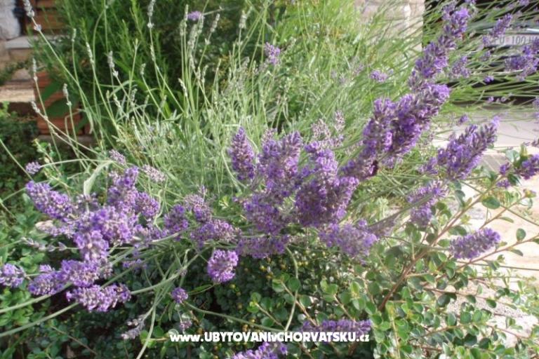 Villa Lorena – foto 17