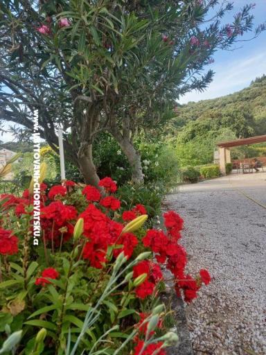 Appartements Danijela – foto 4