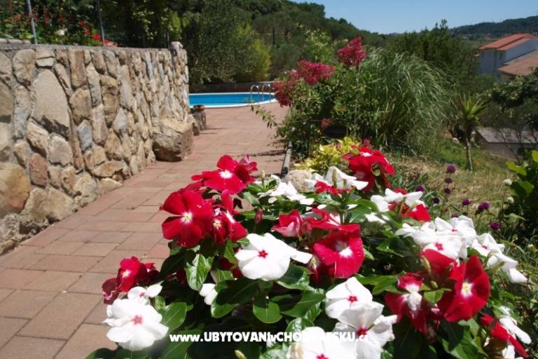 Appartements Dumičić – foto 8